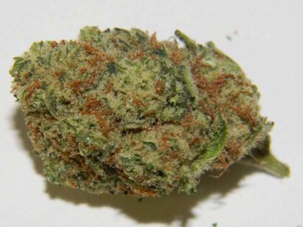 Cannalope-Haze-Strain-600x450-1.jpg